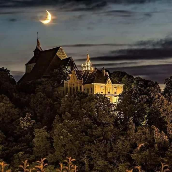Pensiunea Lelila Inn Sighişoara Exteriör bild